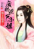 邪王追妻废材逆天小姐李瑶瑶和大师兄