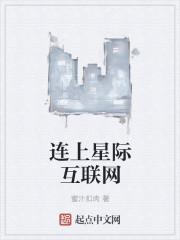 连上星际互联网 聚合中文网