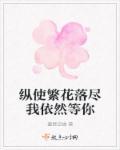 纵使繁华一场免费阅读