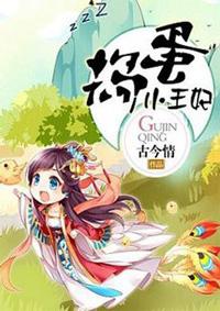 捣蛋小王妃古今情