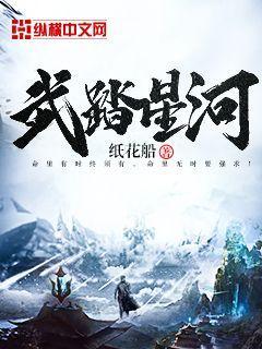 武踏星河TXT全本