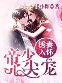 今夜星辰似你第二部免费