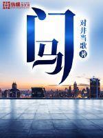 2025年新澳门马