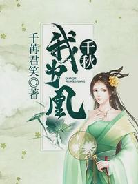 秦如凉沈娴免费阅读无弹窗