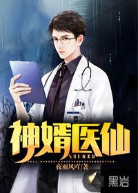 神婿医仙叶晨免费阅读