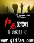红色贝雷帽 高达