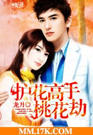 护花高手在都市角色介绍