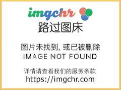 排球中的二传