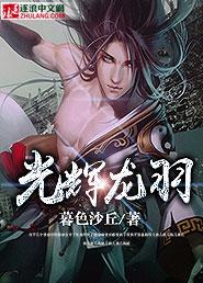 光辉与枭龙
