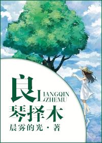 良禽择木而栖的下一句怎么说