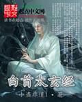 白首太玄经烜赫大梁城