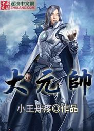 大元帅电影