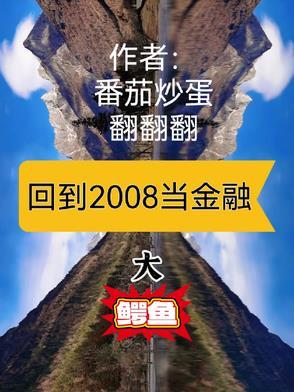如果回到2008年怎么赚钱