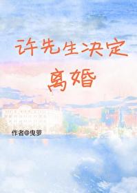 许先生决定离婚 番外