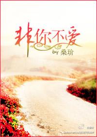 非你不爱是哪个电视剧的主题曲