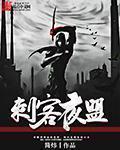 刺客夜影劫