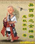 金蝉西游互通