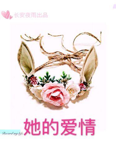 她的爱情电影免费观看